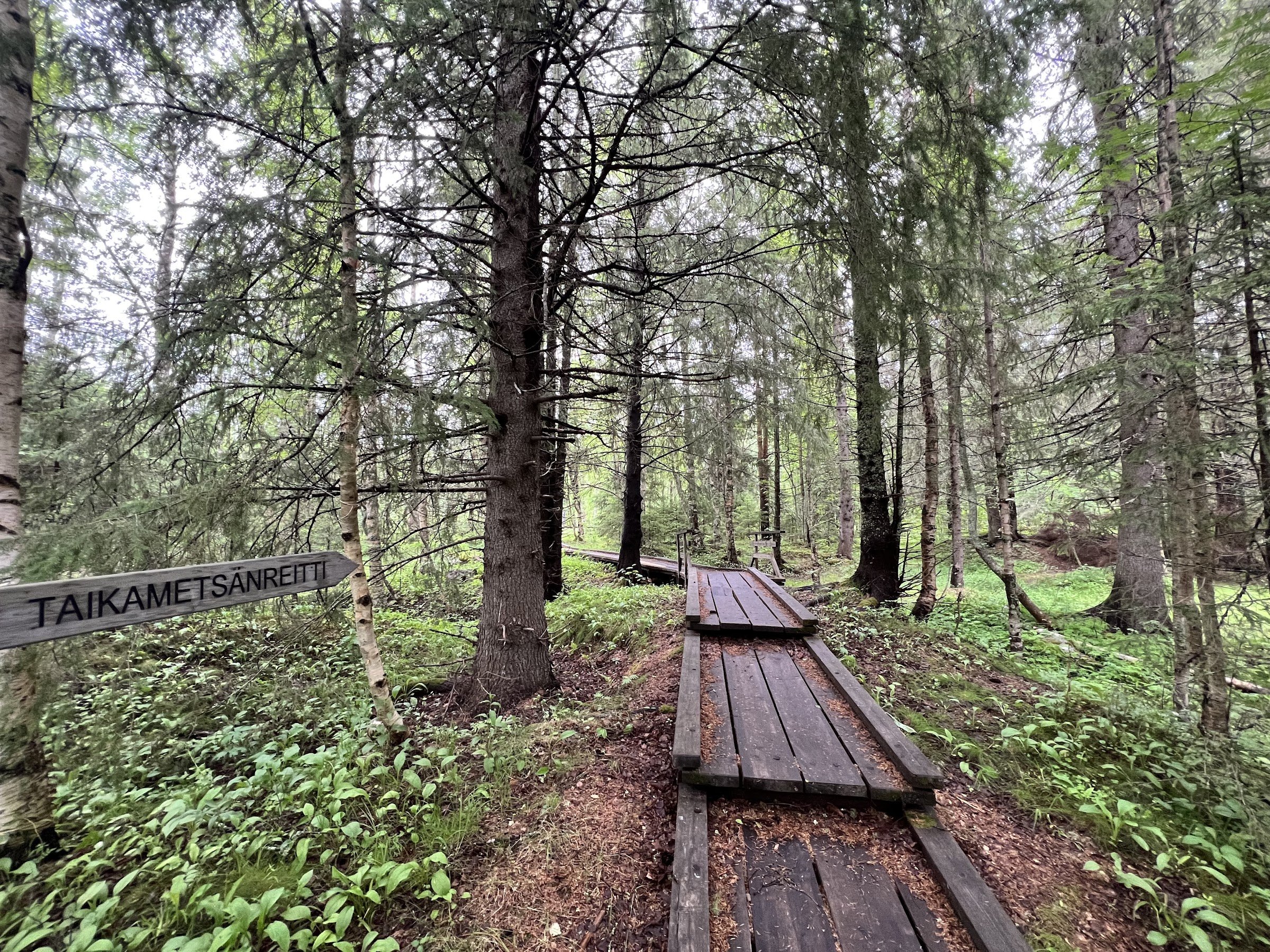 Koitelinkoski Rapids